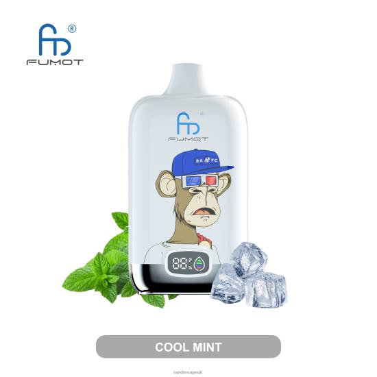 Fumot Original RandM Digital Box 12000 Battery And Liquid Display Vape Device Cool Mint 642PN1 RandM Vape UK